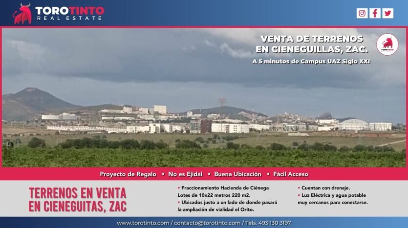 Toro Tinto Inmobiliaria - Inmobiliaria en Zacatecas - Bienes Raíces en Zacatecas - Inicio - Propiedades - Blog - Nuestro Blog - Nosotros - Servicios - Contacto