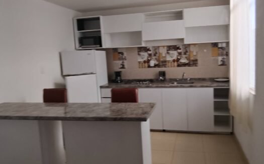 Departamento en Renta en Fracc. Lomas del Lago