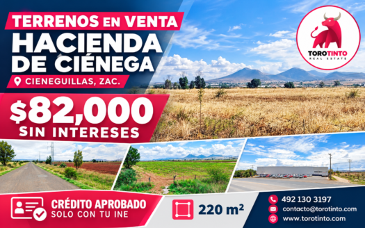Terrenos en Venta en Hacienda de Ciénega, Cieneguillas – 220 m², Financiamiento Sin Intereses y Sin Buró – TT-P4-1108