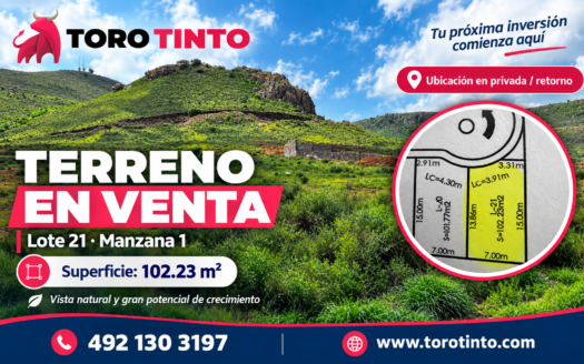 Terreno en Venta en Zona el Orito, Zacatecas