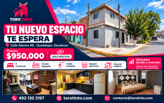 Casa en venta en Col. Mezquital, Guadalupe, Zac.