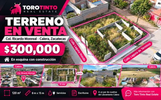Terreno en Esquina en Calera, Zac