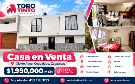 Casa en Venta en Ojo de Agua, Guadalupe, Zac. – TT-P2-1016