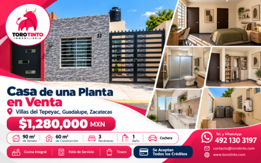 Casa de Una Planta en Venta en Villas del Tepeyac, Guadalupe, Zac – TT-P6-1097