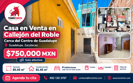 Casa en Venta Cerca del Centro de Guadalupe, Zac. – TT-P2-1027