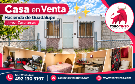 Casa en Venta en Fraccionamiento El Molino, Jerez, Zac. – TT-P2-1084