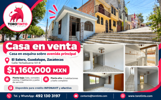 Casa en Esquina en Venta sobre Avenida Principal en El Salero, Guadalupe, Zac. – TT-P2-1095