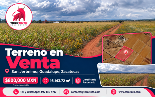 Terreno en Venta de 16,143.72 m² en San Jerónimo, Guadalupe, Zac. – TT-P1-1069