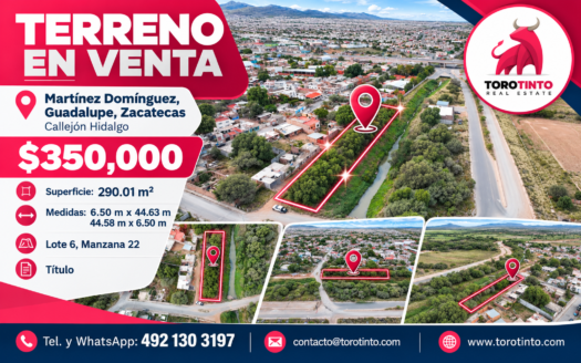 Terreno de 290 m² en Venta en Martínez Domínguez, Guadalupe, Zac. – TT-P2-1089