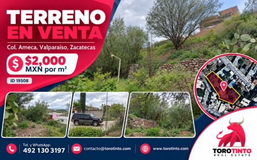 Terreno Céntrico en Venta en Colonia Ameca, Valparaíso, Zacatecas – $2,000 por m² – TT-P1-1077