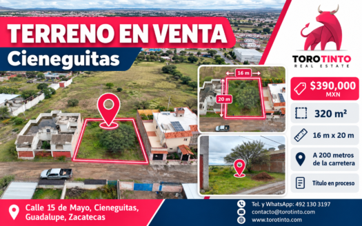 Terreno de 320 m² en Venta en Cieneguitas, Guadalupe, Zac. – a 200 Metros de la Carretera – TT-P2-1094