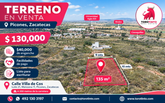 Terreno en Venta en Picones, Zacatecas – 135 m², 9 m de Frente y Facilidades de Pago – TT-P2-1100